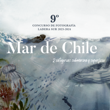 Bases 9no Concurso de Fotografía de Ladera Sur “Mar de Chile” 2023-2024 ¡Todos a participar!