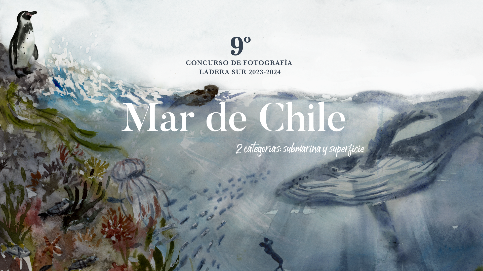 Bases 9no Concurso de Fotografía de Ladera Sur “Mar de Chile” 2023-2024 ¡Todos a participar!