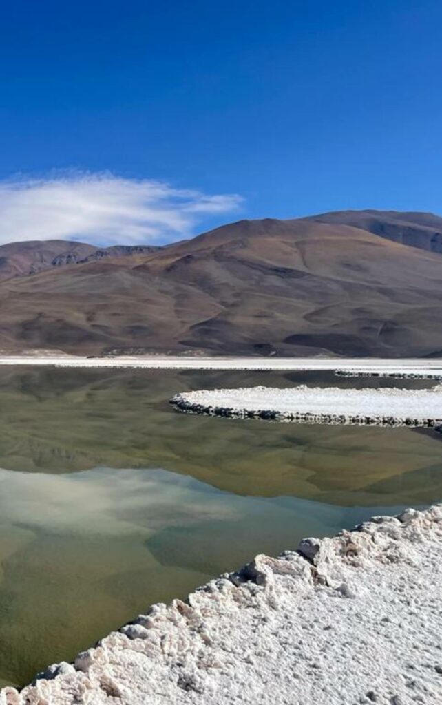 Laguna Marte. Créditos: María Eugenia Farías.