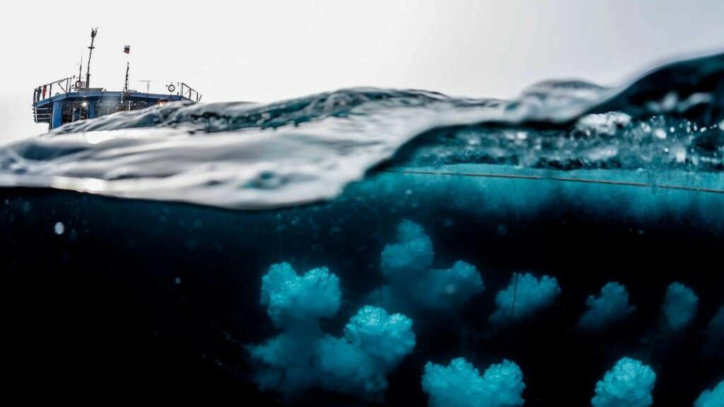 Imagen del disparo de aire comprimido en el mar durante una exploración sísmica. Créditos: Greenpeace.