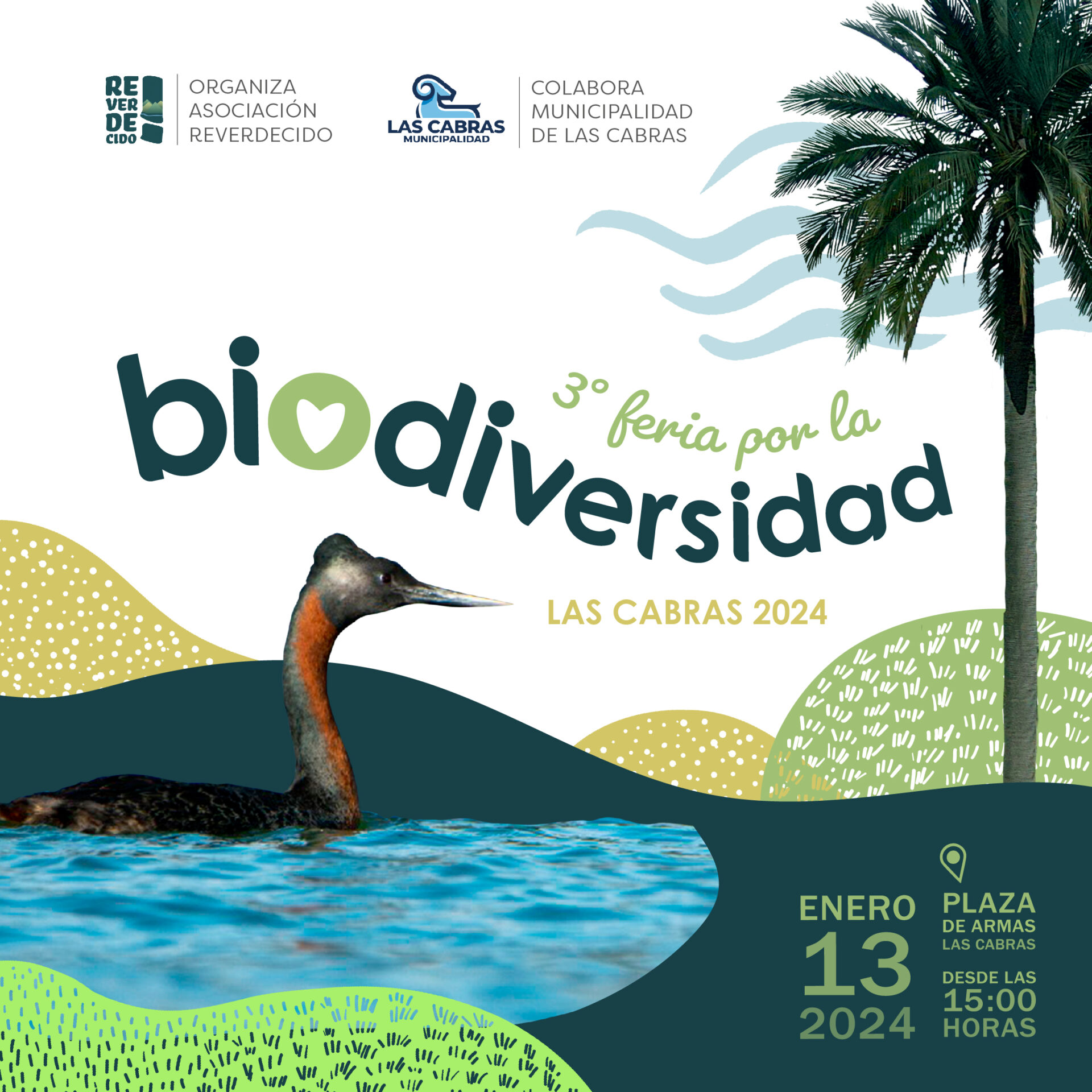 ¡Este sábado! No te pierdas la 3era feria por la biodiversidad en Las Cabras