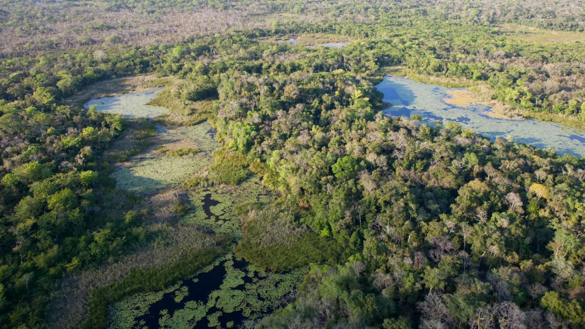 Guatemala: el 2024 se anuncia como un año difícil para la Reserva de la Biosfera Maya