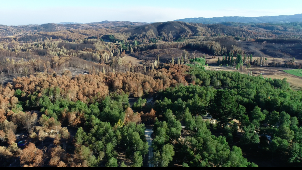 Créditos: Buena Cabra, Rocío Cruces.