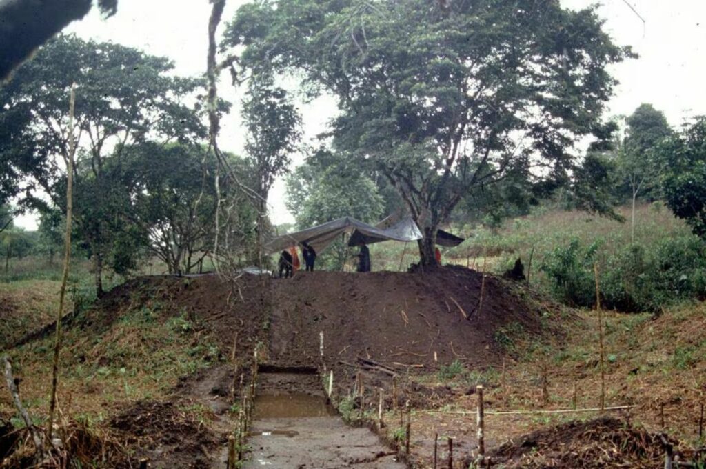 Excavación arqueológica a gran escala en una plataforma de tierra del sitio Sangay en el valle del Upano en Ecuador. Créditos: EFE.