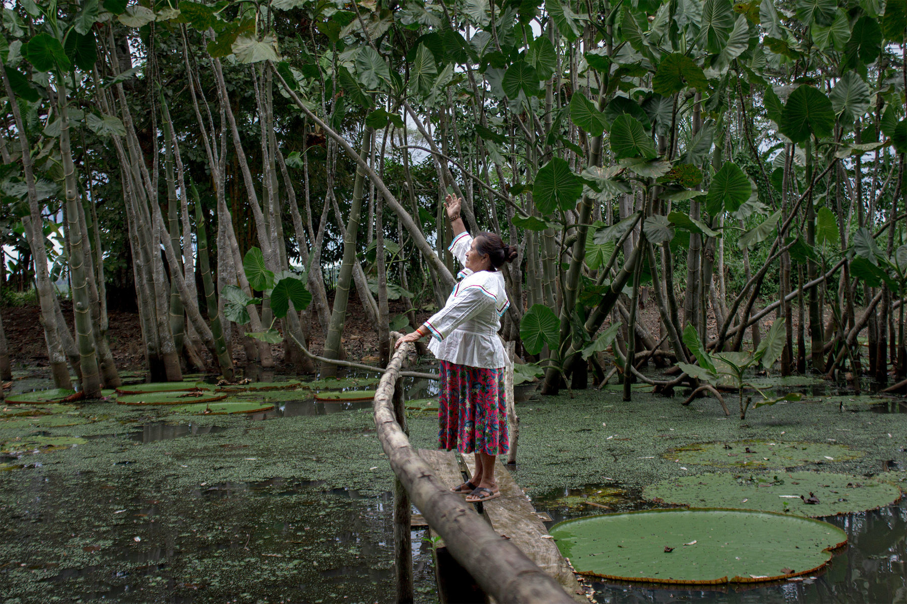 Mujeres en la línea invisible de la conservación de la Amazonía peruana