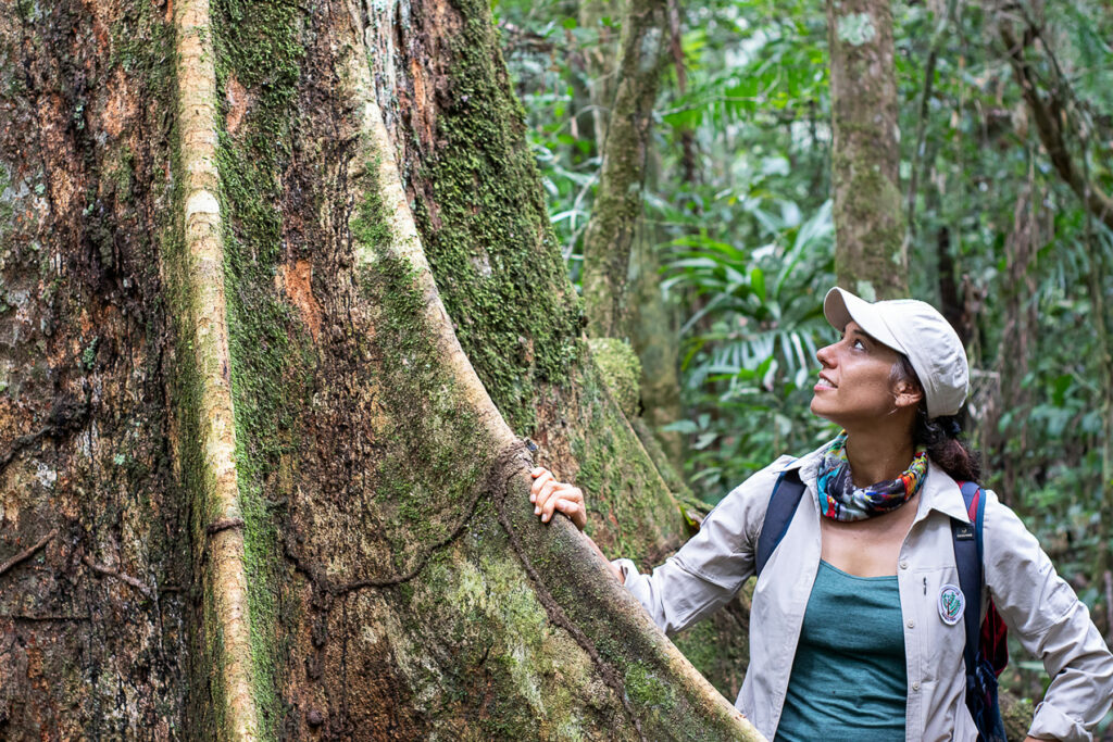 Tatiana Espinosa junto a un shihuahuaco (Dipteryx micrantha), uno de los gigantescos árboles milenarios que trabaja para proteger en la concesión de conservación que le otorgó el Estado peruano en la región de Madre de Dios. Créditos: Gianella Espinosa / ARBIO.