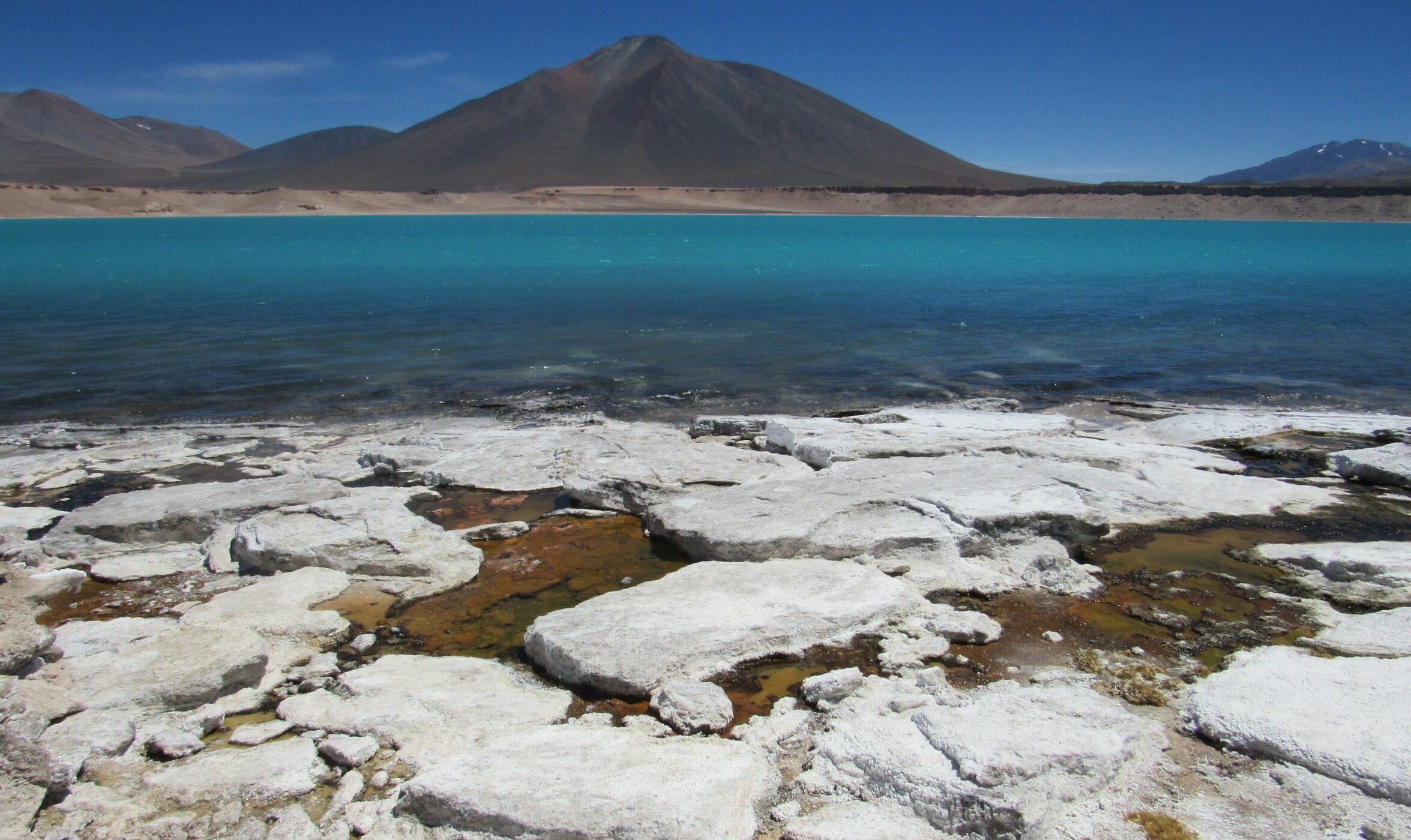 ¿Conoces las lagunas cordilleranas de Atacama? Te compartimos nuestro recorrido por sus colores y formas