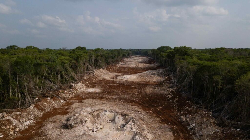 Zona de la selva en Felipe Carrillo Puerto, Quintana Roo, que se taló para construir el tramo 6 del Tren Maya. Foto: Isabel Mateos/Mongabay Latam