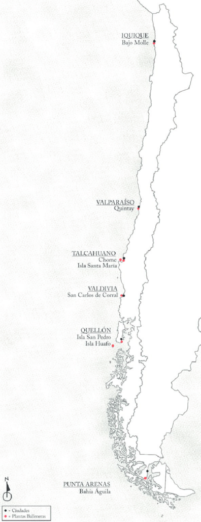 Dibujo con la ubicación de las plantas balleneras de Chile. Información de Diego Quiroz. Ilustración de Paula de la Fuente