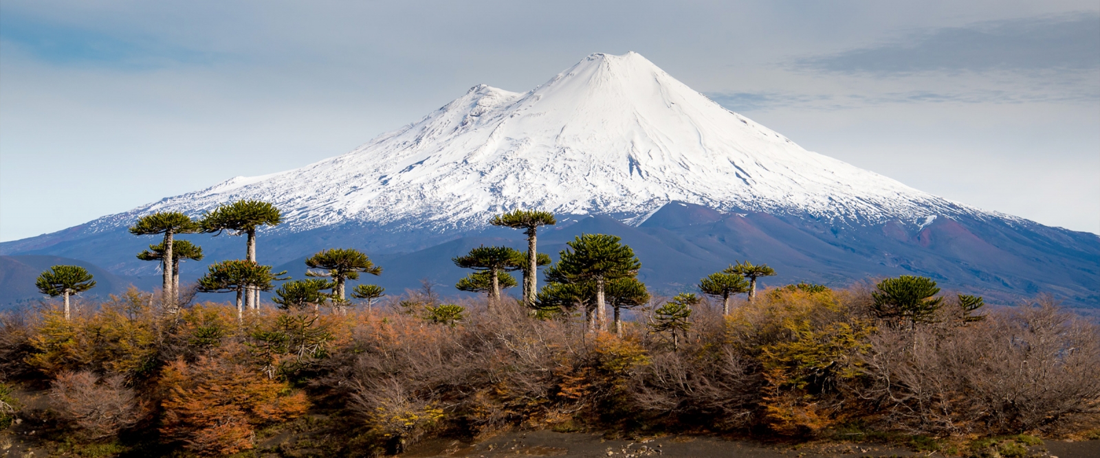 Descubre Chile explorando sus ciudades junto con las nuevas guías de The North Face y Ladera Sur