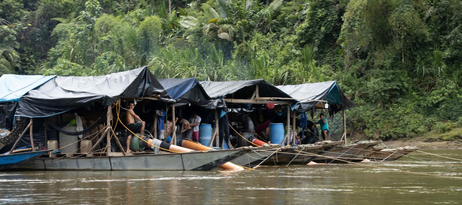 Balance ambiental de Latinoamérica en 2023: violencia contra defensores y biodiversidad bajo amenaza