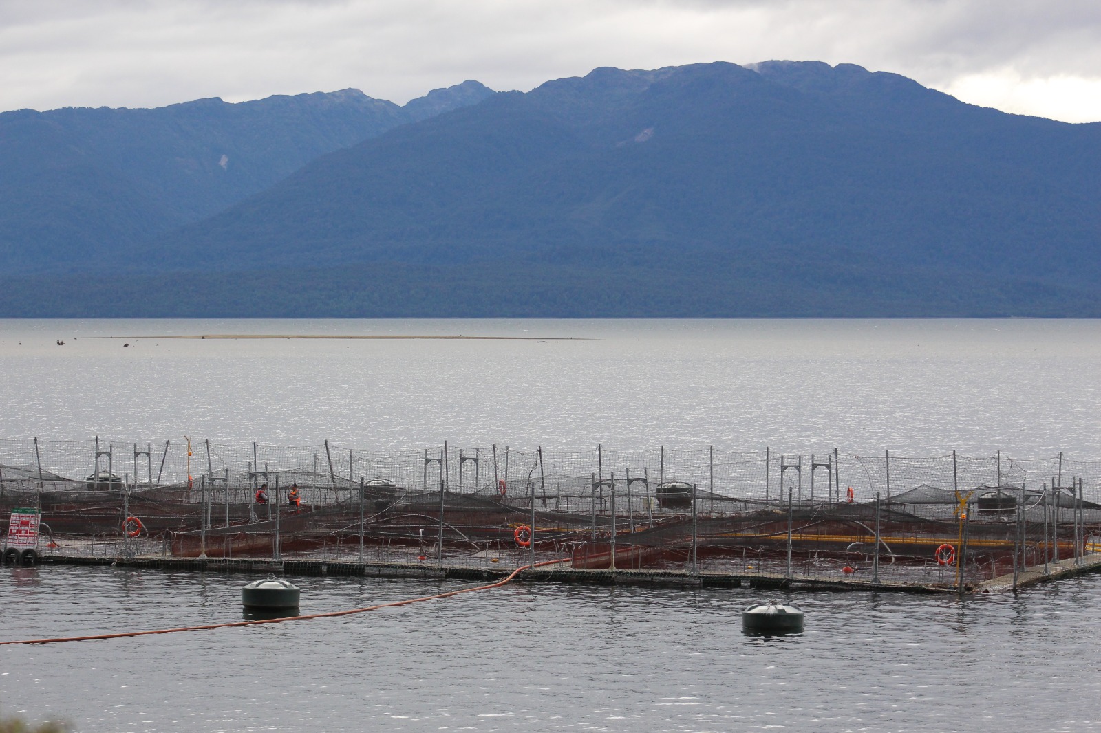 Incumplimientos legales de los centros salmoneros que el gobierno acordó relocalizar