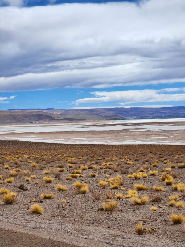 Litio en el Salar del Hombre Muerto: viaje a un sitio remoto donde ...