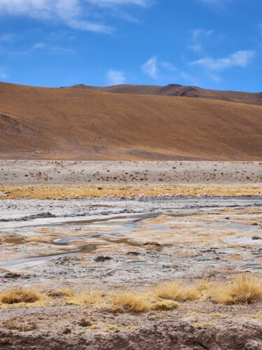 Litio en el Salar del Hombre Muerto: viaje a un sitio remoto donde ...