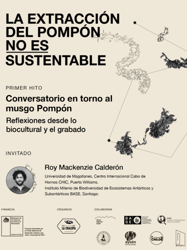 Realizarán conversatorios en Aysén sobre musgo Pompón en el marco del proyecto de creación artística “La extracción del pompón no es sustentable”