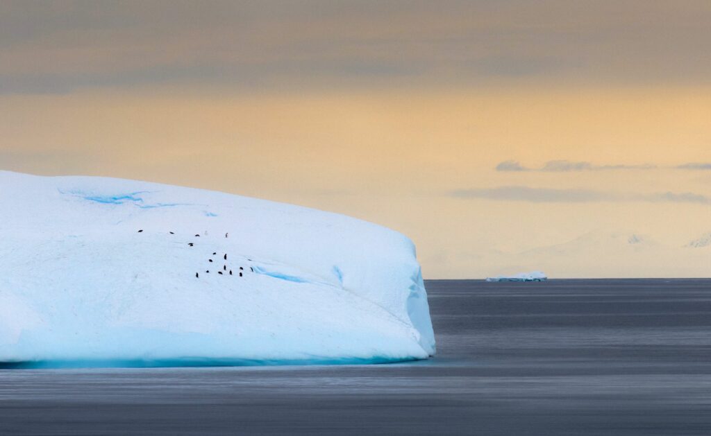 antartica-iceberg-pinguinos