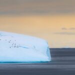 antartica-iceberg-pinguinos