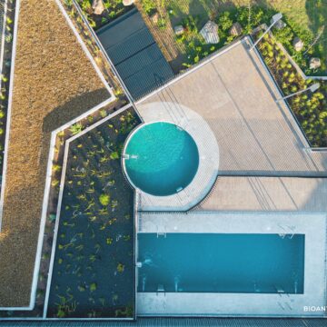 Empresa de hermanos chilenos logra la primera piscina natural de uso público de Chile y Latinoamérica mediante depuración con plantas acuáticas