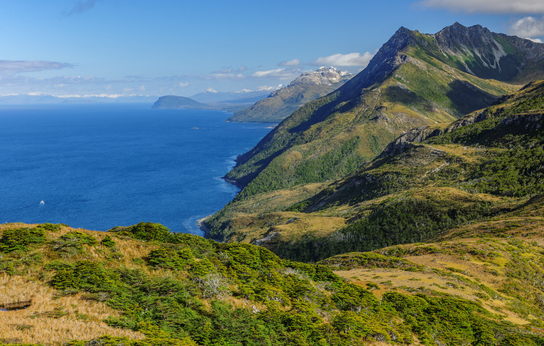 Una aventura desafiante en Cabo Froward: cuatro días de trekking bordeando el estrecho de Magallanes