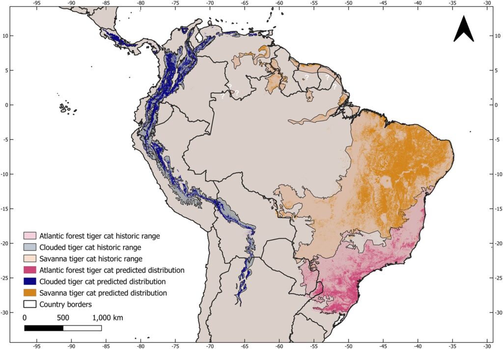 Distribución de tigrillos en Ámerica Latina. Créditos: Tiger Cats Conservation Iniciative