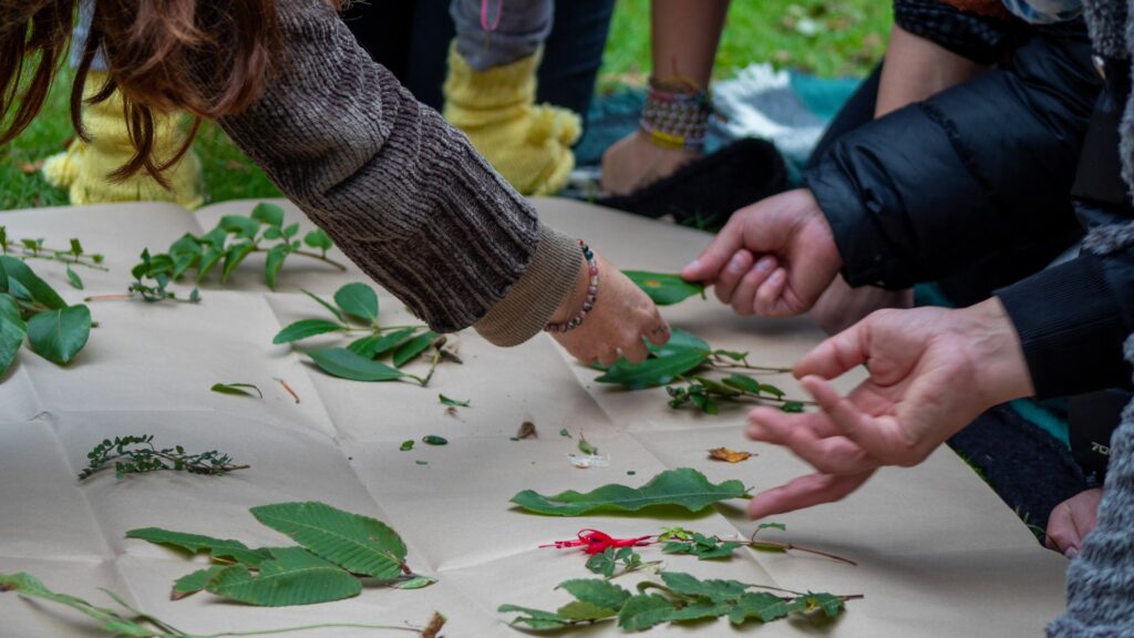 Créditos: Fundación Plantae.