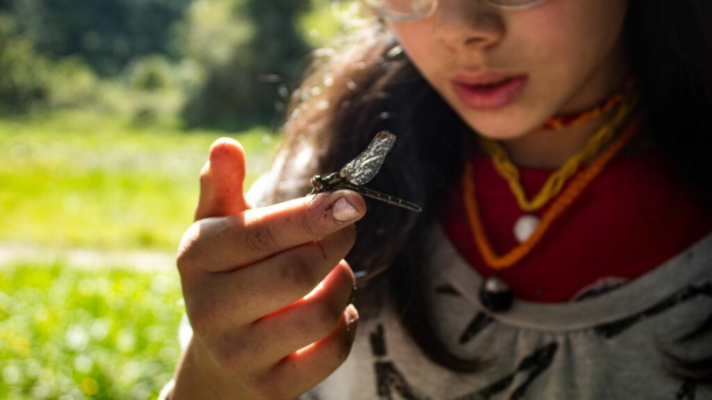 Créditos: Fundación Plantae.