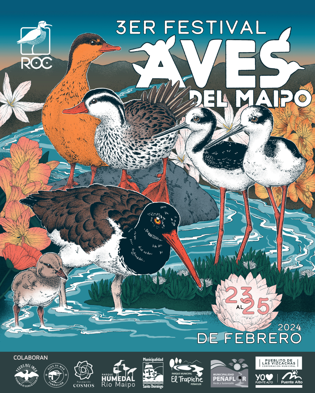 ¡Nueva versión del Festival de Aves del Maipo este fin de semana!