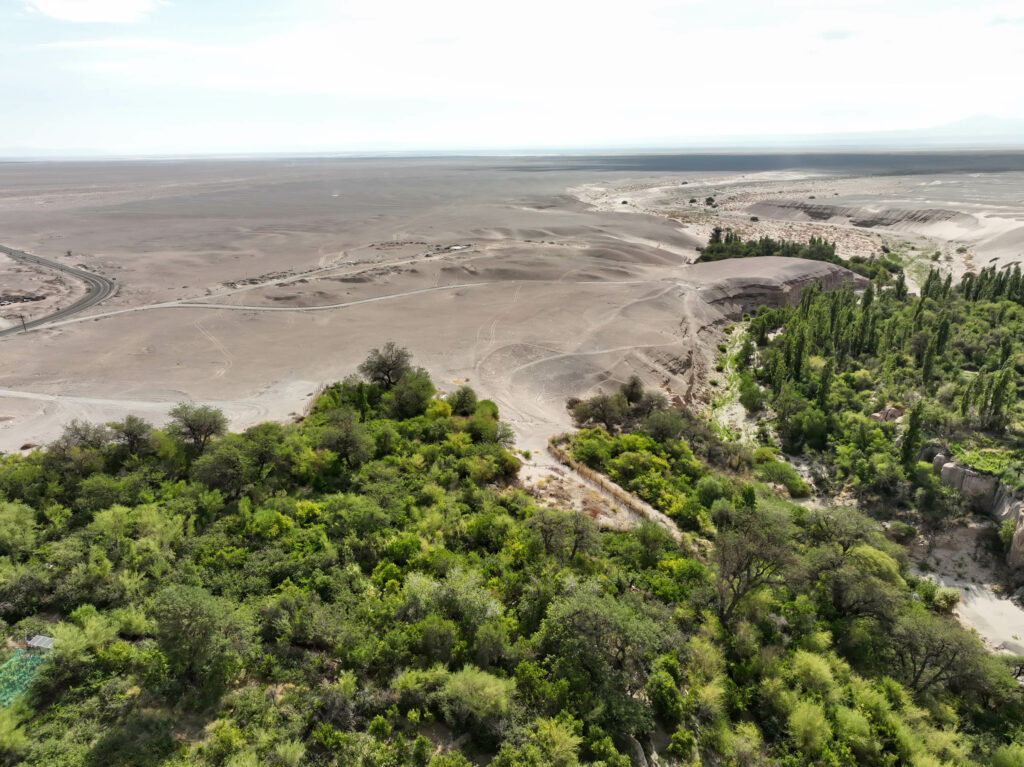 Toma aérea que muestra los bosques en medio del desierto. Créditos Mateo Barrenengoa.