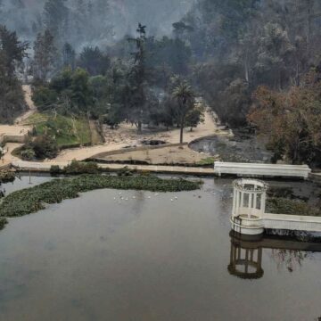 Desaparece el pulmón verde de Viña del Mar: Jardín Botánico se quemó en un 90%