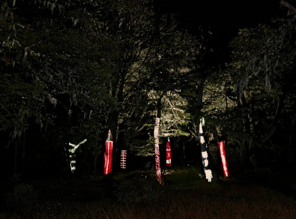 Selk’nam representando a los espíritus fundadores del Hain (Shoort) proyectados sobre bosque de Timaukel, parque Karukinka.