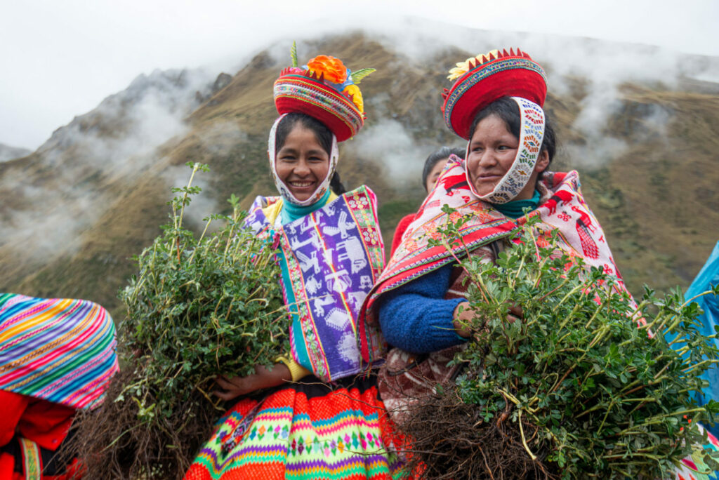 Mujeres participan en la reforestación del queñual cerca de Queros, en la región peruana de Cusco, a más de 4.000 metros sobre el nivel del mar. Queda menos del 5% de la cobertura original de esta especie autóctona, debido a la deforestación vinculada a la ganadería y la tala. Créditos: Paulo Silvera