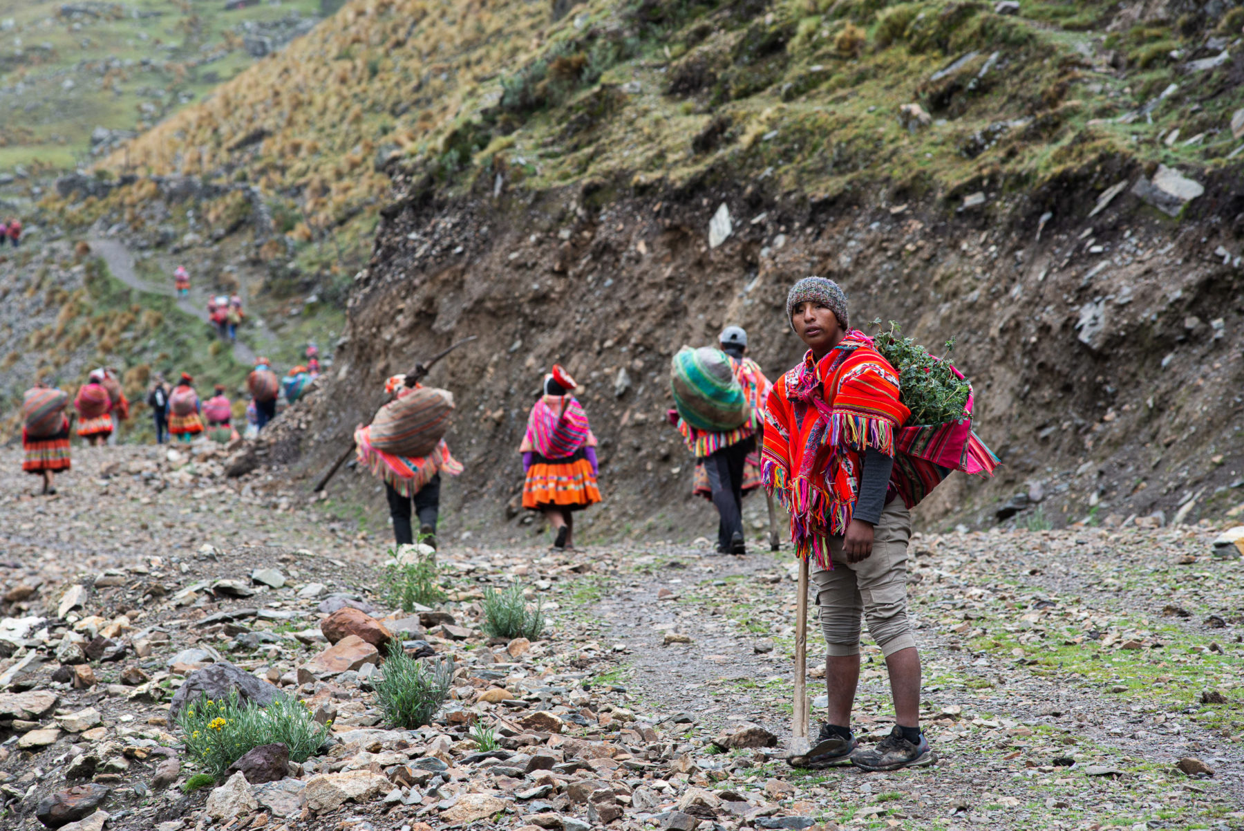 Acción Andina: la ONG que quiere reforestar los Andes