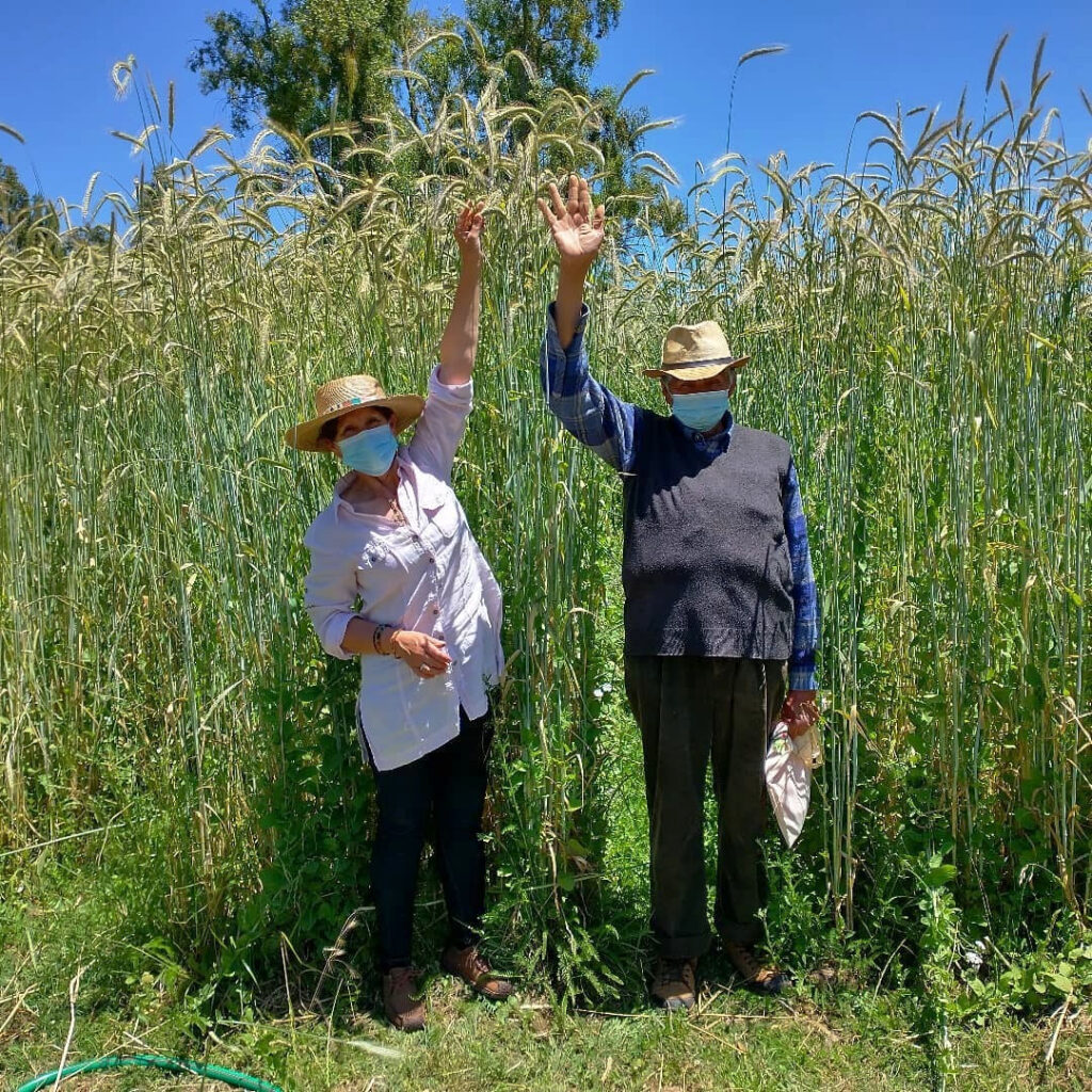 Familia cuidando sus cultivos. Créditos: Semilla Austral.