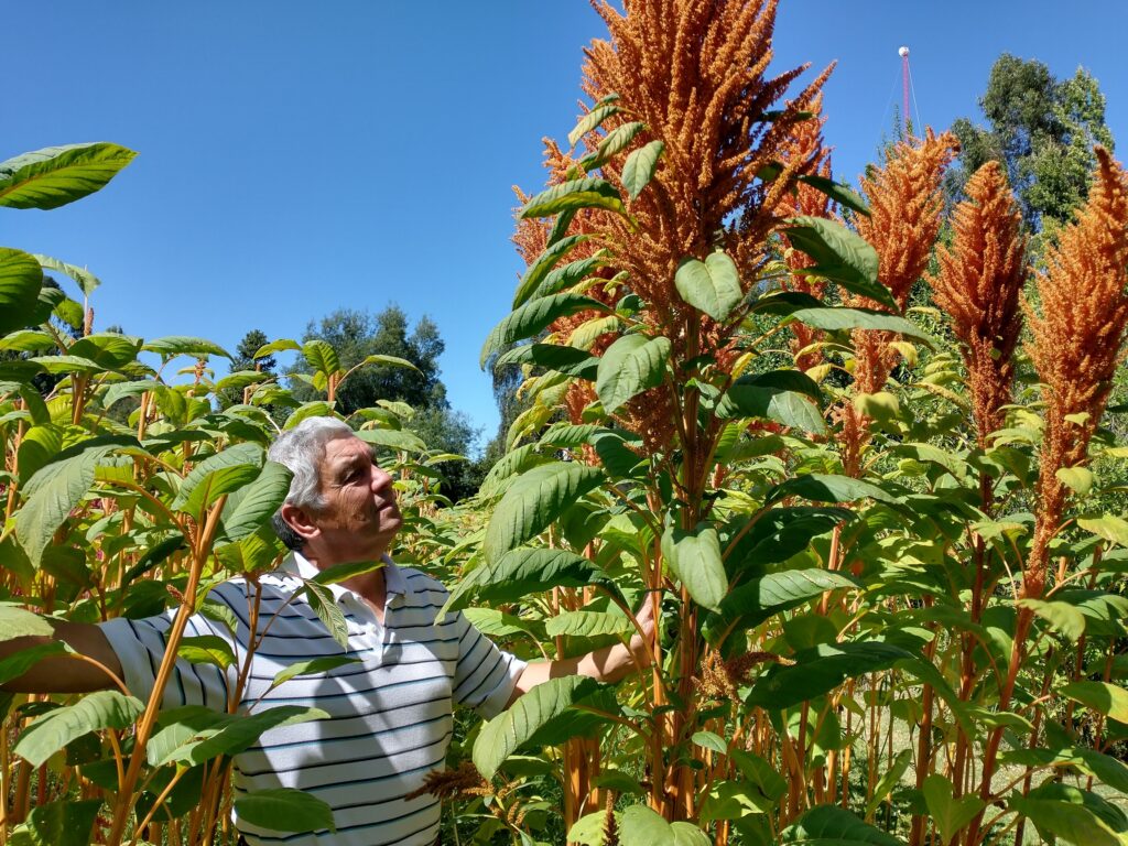 Gerardo Jara Barrera, cofundador del Centro Agroecológico Mongelechi Mapu. Créditos: Semilla Austral.