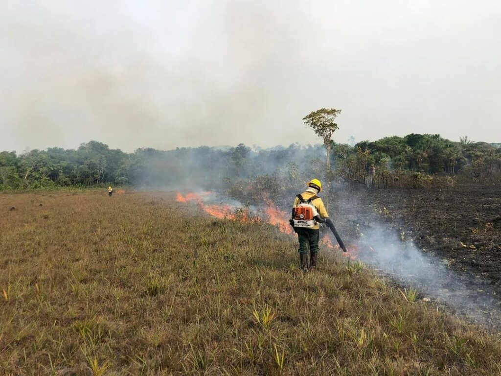 Persona intentando apagar el incendio de la Amazonia brasileña en 2019. Créditos: We Are Guardians.