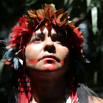 Panorama ideal para el fin de semana: a días del estreno de We Are Guardians en Netflix, conversamos en exclusiva con sus directores sobre la deforestación de la Amazonía