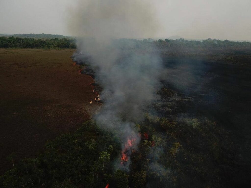 Bosques de la Amazonia brasileña quemándose durante los incendios de 2019. Créditos: We Are Guardians.