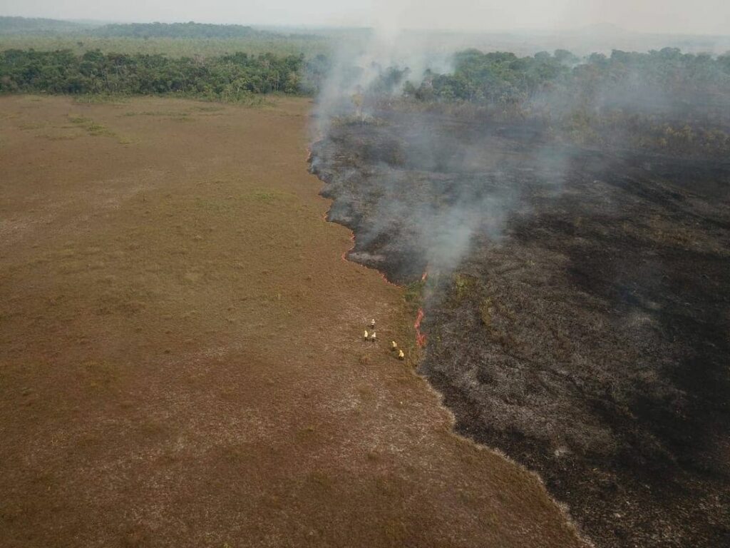 Personas intentando apagar el incendio de la Amazonía brasileña en 2019. Créditos: We Are Guardians.