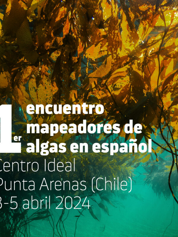 Punta Arenas será sede del primer encuentro en español de mapeadores de algas