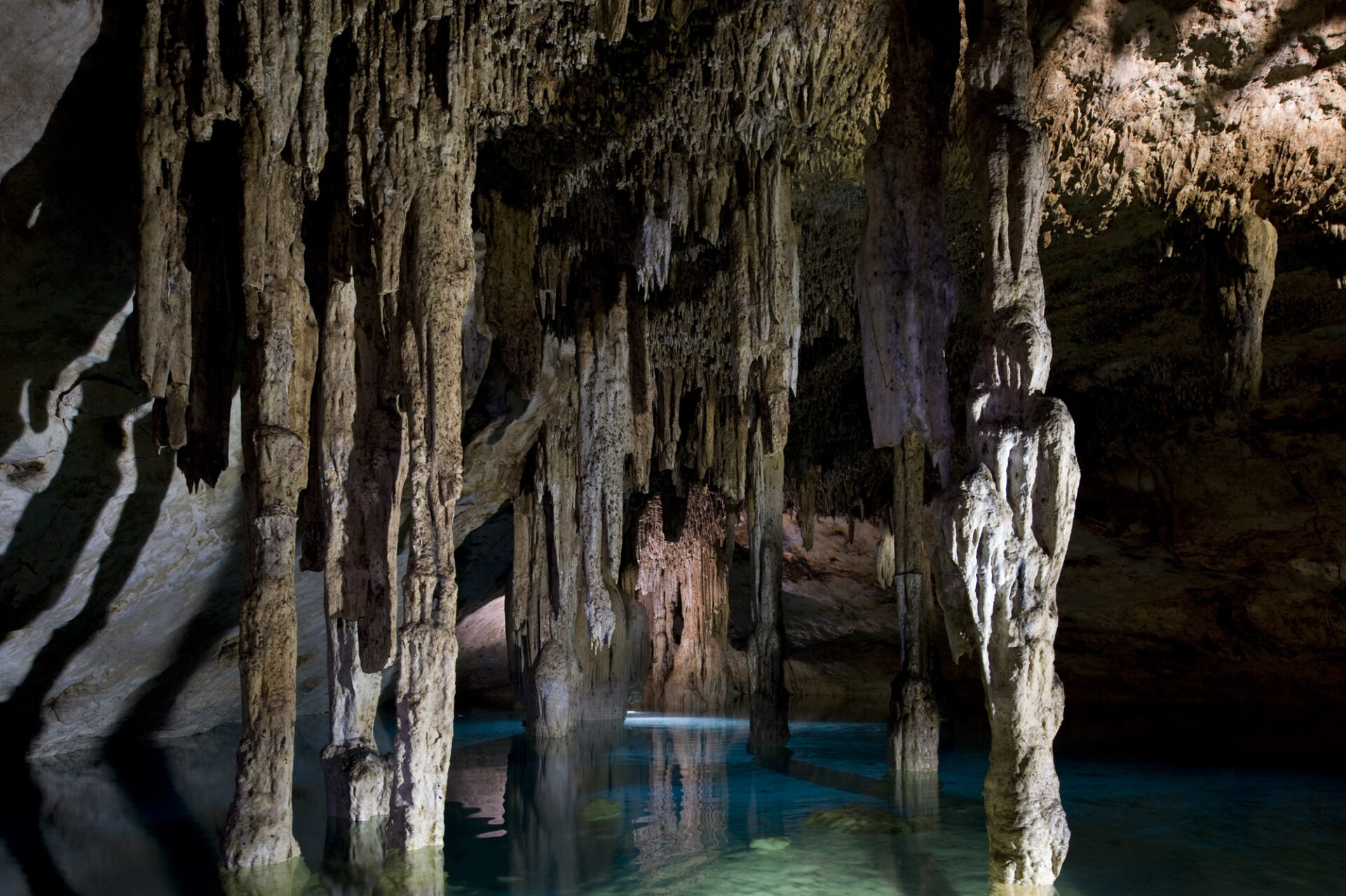 Descubriendo la vida oculta: científicos exploran los túneles subacuáticos de la Península de Yucatán