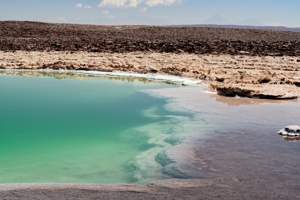 Laguna Chaxa, Salar de Atacama. Créditos: Rodrigo Maluenda/Halófilos