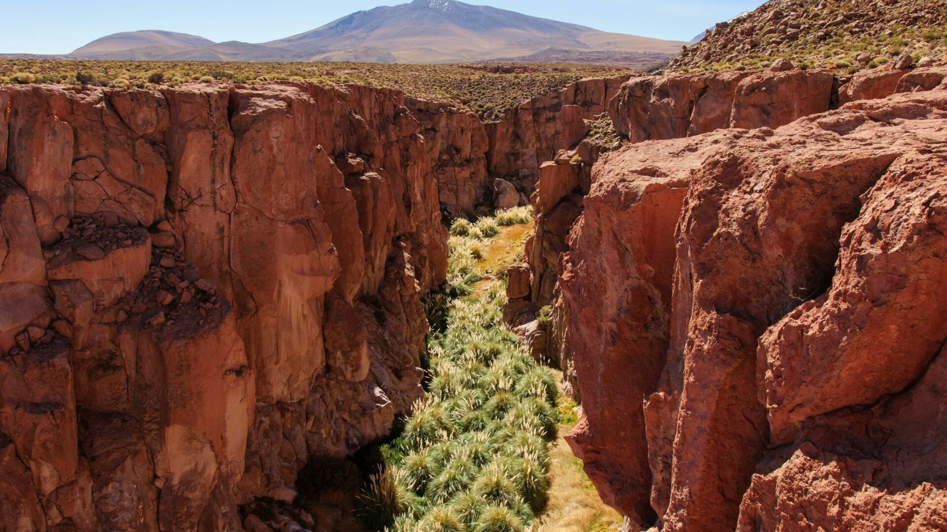 Reserva de Conservación Puritama: Más allá de sus termas, una maravilla de la biósfera