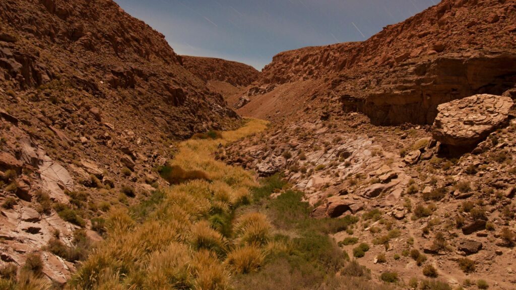 Reserva de Conservación Puritama: Más allá de sus termas, una maravilla de la biósfera