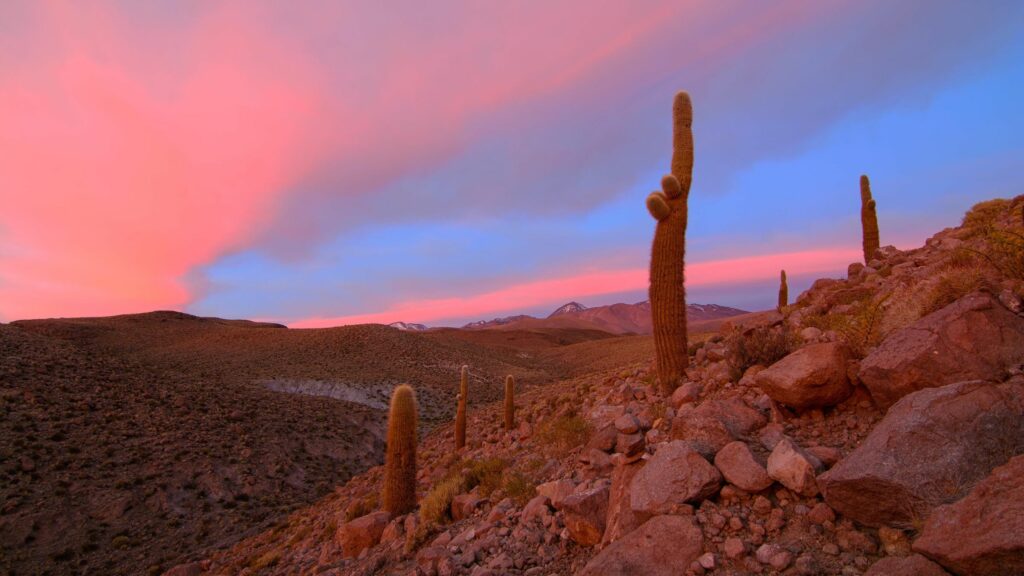 Reserva de Conservación Puritama: Más allá de sus termas, una maravilla de la biósfera