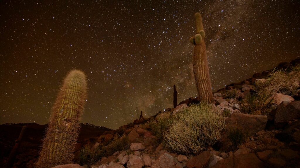 Reserva de Conservación Puritama: Más allá de sus termas, una maravilla de la biósfera