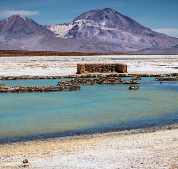 95 organizaciones socioambientales alertan que se planea explotar cerca del 50% de la superficie de los salares de Chile