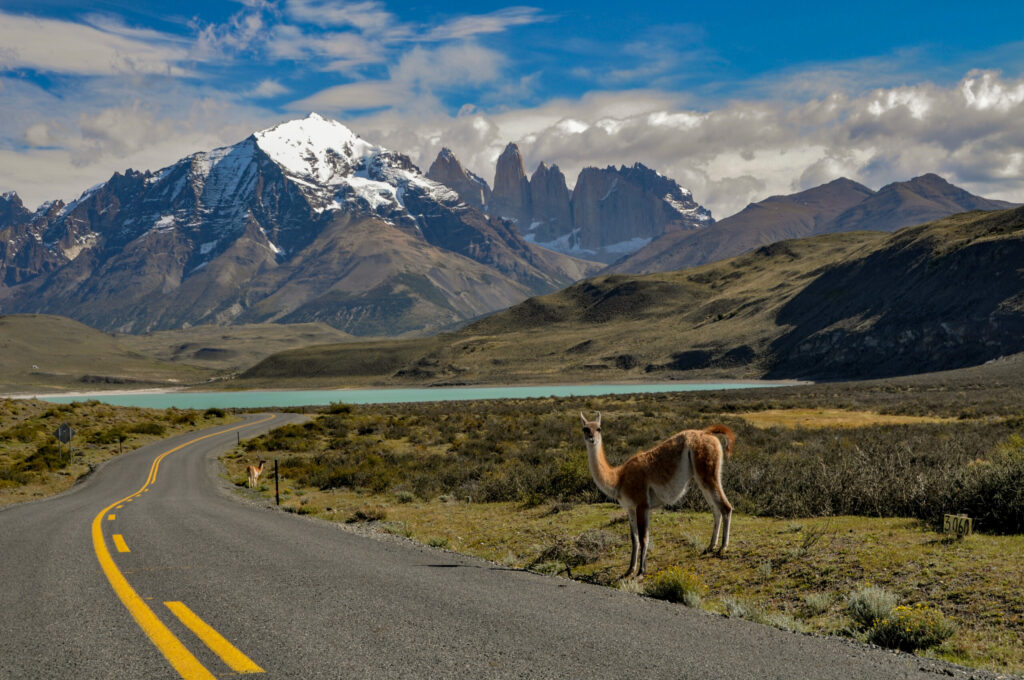 Torres-del-paine