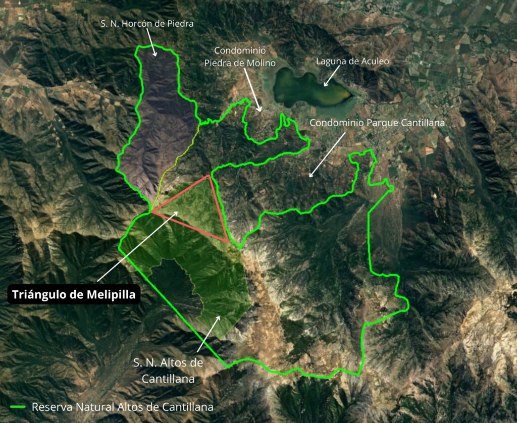 Triángulo de Melipilla, Reserva Natural Altos de Cantillana. Créditos: ONG Corporación de Desarrollo Altos de Cantillana.