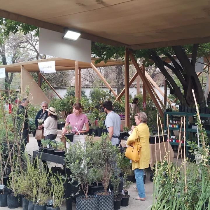 Vivero Pumahuida. Crédito Vivero Pumahuida