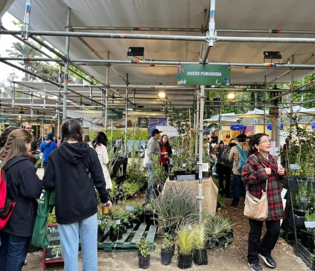 Vivero Pumahuida. Crédito Vivero Pumahuida